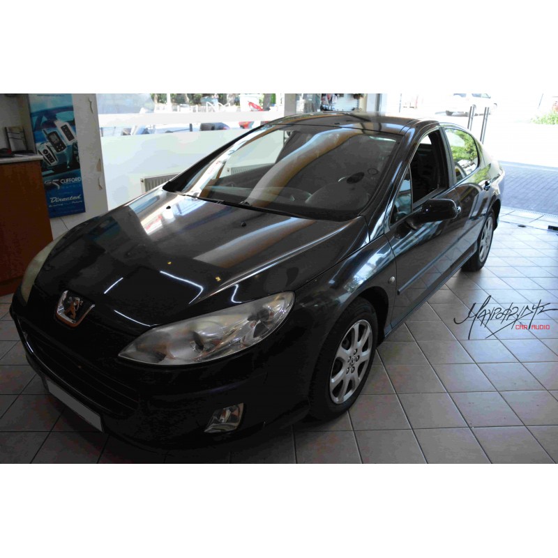 peugeot 407 oem LM